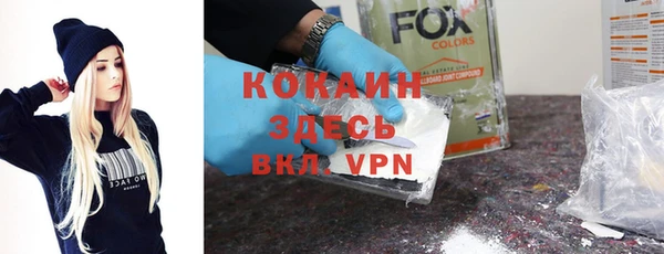сатива Ельня