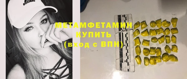 сатива Ельня