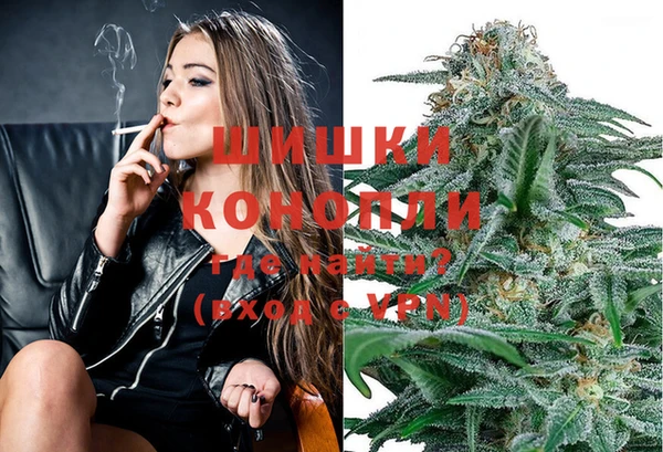 спиды Елизово