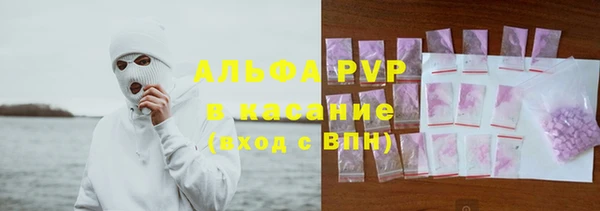 сатива Ельня