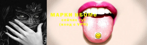 сатива Ельня
