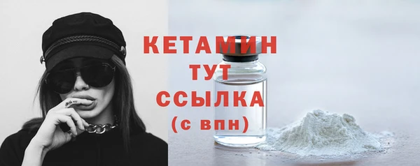 сатива Ельня
