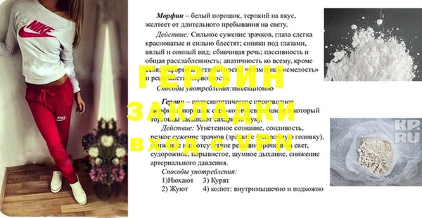 сатива Ельня