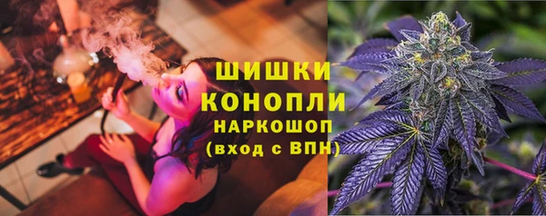 спиды Елизово