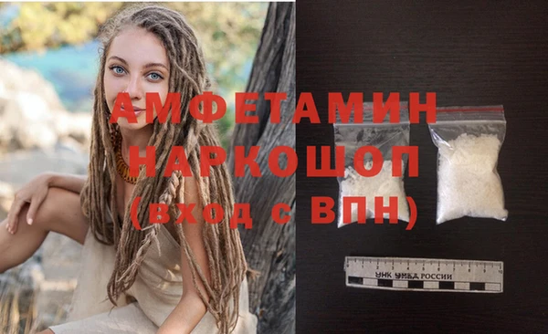 сатива Ельня
