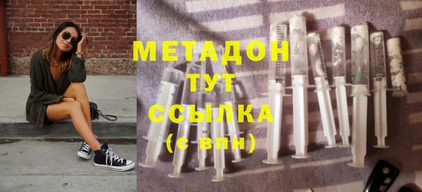 сатива Ельня