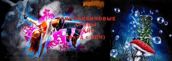 сатива Ельня