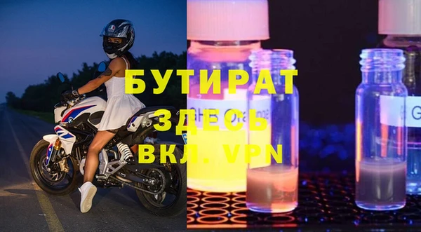 сатива Ельня
