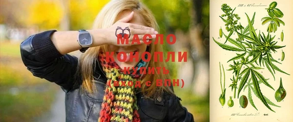 сатива Ельня