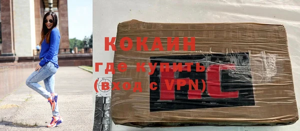 сатива Ельня