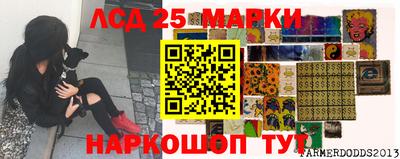 Альфа ПВП Кимры