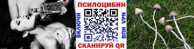blacksprut рабочий сайт  даркнет сайт  Калуга  Галлюциногенные грибы GOLDEN TEACHER 
