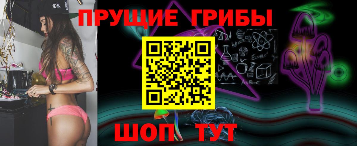 Псилоцибиновые грибы Psilocybine cubensis Калуга