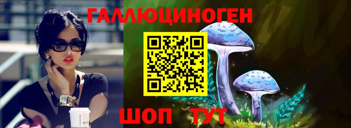 Галлюциногенные грибы Psilocybe  Галлюциногенные грибы прущие грибы  Калуга  Вход с VPN 