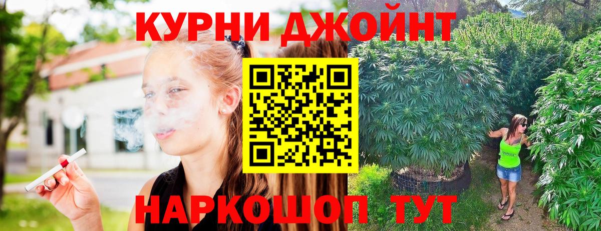 Шишки марихуана конопля  Марихуана конопля  Калуга  Марихуана индика  Вход с VPN 